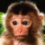 Illustration du profil de Louis Aubert